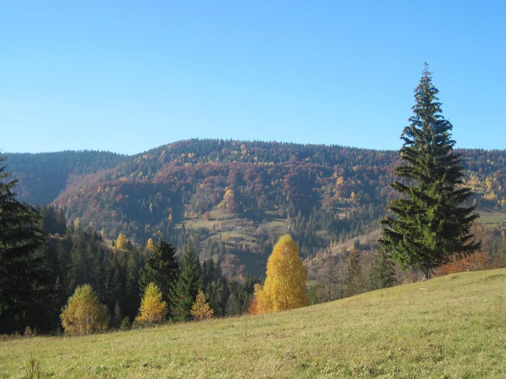 Guest House Stari Druzy Славске Екстериор снимка