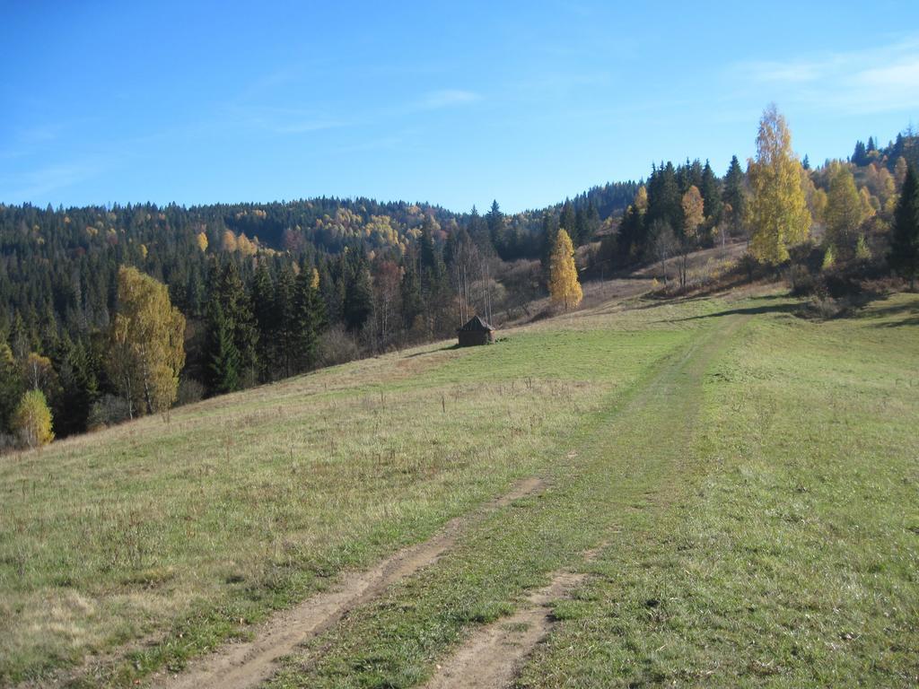 Guest House Stari Druzy Славске Екстериор снимка