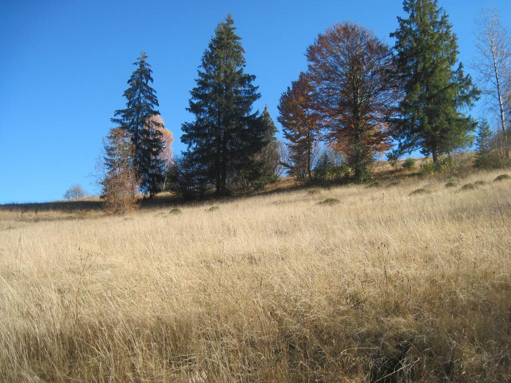 Guest House Stari Druzy Славске Екстериор снимка